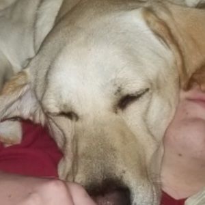 Meet your Posher, Eli